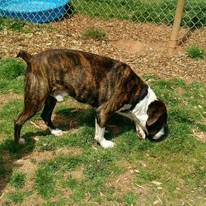 Meet your Posher, Randy